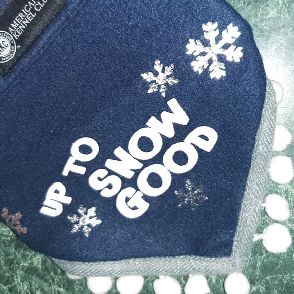 💞Free in a Bundle 🐕-Pet Bandana- AKC APC - Picture 12 of 12